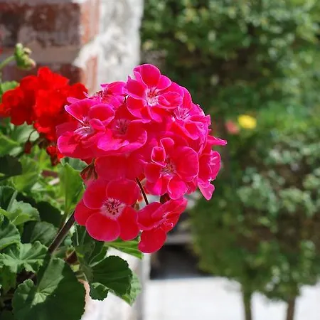 Holiday home Monte Grappa Romano D'Ezzelino